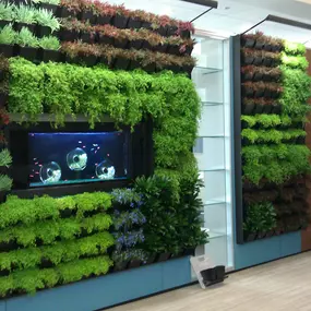 Interior Plantscape Design