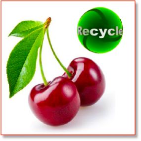 Organics & Food Recycling Programs