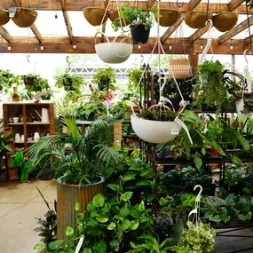 Bild von Green's Produce and Plants