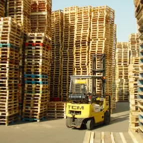 Bild von Pallethandel A van Lookeren en Zn