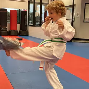 Young boy having fun practicing at Dojo Karate in Rogers, Mn