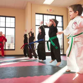 Children practicing karate at our nine locations throughout Minnesota: Rogers, Eden Prairie, Maple Grove, Elk River, Monticello, Buffalo, Waconia, Minnetonka, and Medina.