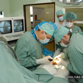 Ústav chirurgie ruky a plastické chirurgie
