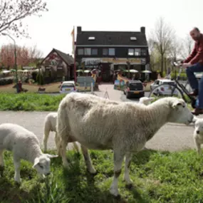 Bild von Pannenkoekenhuis De 7 Dwergen Cuijk