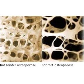 Pronk Osteopaat DO MRO