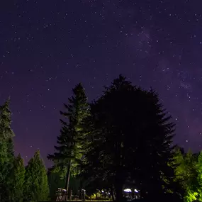 Bild von Tall Chief RV Campground