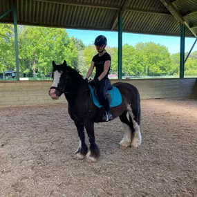 Manege - camping en bungalowpark de Bronzen Emmer