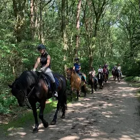 Manege - camping en bungalowpark de Bronzen Emmer