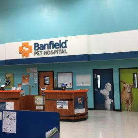 Bild von Banfield Pet Hospital