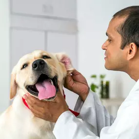 Bild von Banfield Pet Hospital