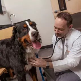 Bild von Banfield Pet Hospital