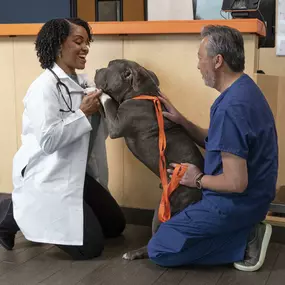 Bild von Banfield Pet Hospital