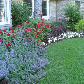 Gardens offer a level of beauty to any home and landscape, however they require a large amount of work. At Designing Nature Landscaping Services, the team offers our full service residential and commercial gardening services to help.