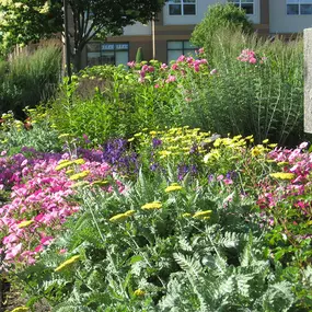 The team at Designing Nature Landscaping Services tailors our residential and commercial gardening services to each individual client. We offer a variety of services including weeding, mulching, fertilizing, bulb installation, winter light installation, and much more.