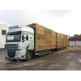 van Kempen Fourage & Transport