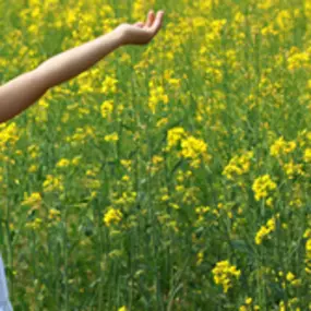 Psychologenpraktijk Rooseboom