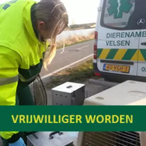 Dierenambulance Velsen