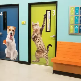 Bild von Banfield Pet Hospital