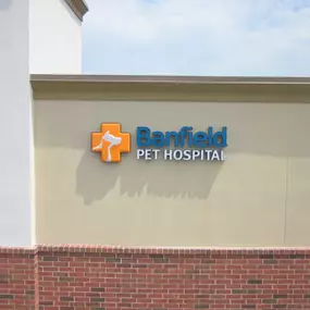 Banfield Pet Hospital® - Hermitage