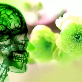 Bio-dynamische Cranio Sacraal