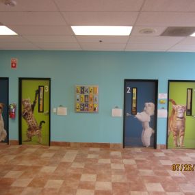 Bild von Banfield Pet Hospital