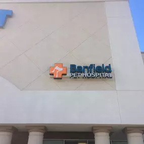 Banfield Pet Hospital - Newnan