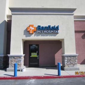 Banfield Pet Hospital - Torrance