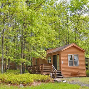 Bild von Thousand Trails Timothy Lake South