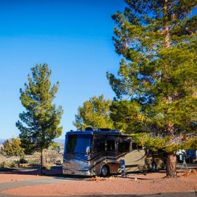 Bild von Thousand Trails Verde Valley