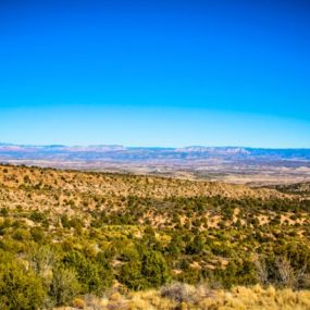 Bild von Thousand Trails Verde Valley