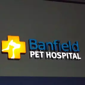 Banfield Pet Hospital® - Jackson