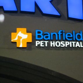 Banfield Pet Hospital® - Frisco