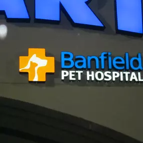 Banfield Pet Hospital® - Frisco