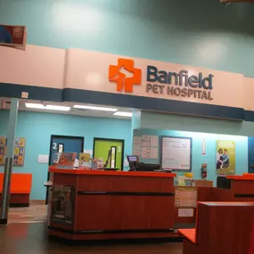 Bild von Banfield Pet Hospital