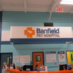 Bild von Banfield Pet Hospital