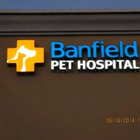 Banfield Pet Hospital® - Tuscon Southwest