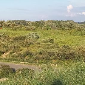 Duinen Groede