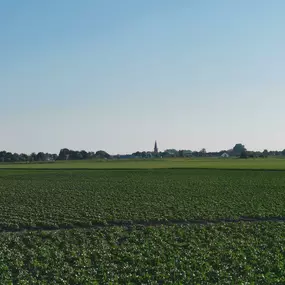 Omgeving Groede