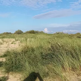 Duinen Groede