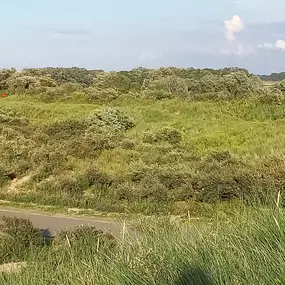 Duinen Groede