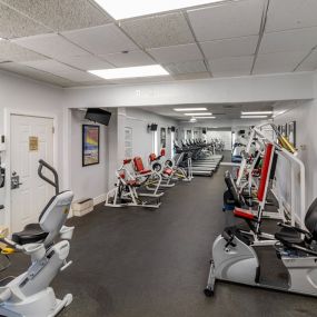 Bild von Victoria Palms RV Resort