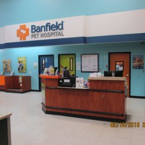 Bild von Banfield Pet Hospital