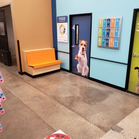 Bild von Banfield Pet Hospital