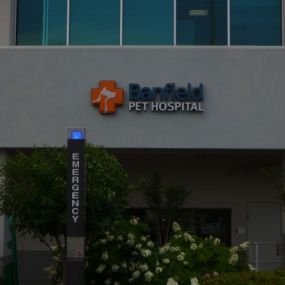 Banfield Pet Hospital® - Music City