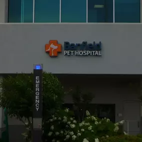 Banfield Pet Hospital® - Music City