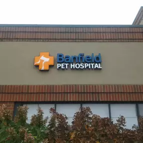 Banfield Pet Hospital - Bloomingdale