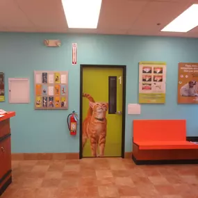 Bild von Banfield Pet Hospital