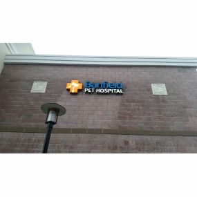 Banfield Pet Hospital® - East Point Camp Creek