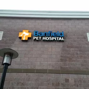 Banfield Pet Hospital® - East Point Camp Creek