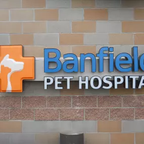 Banfield Pet Hospital® - Colorado Springs East